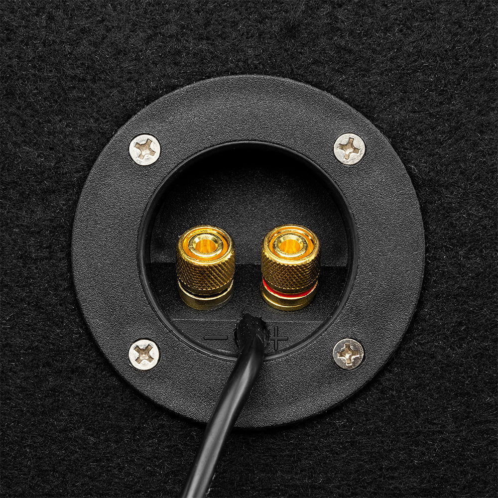 Ford F-150 2 x 10" Subwoofer Loaded Enclosure Package With Vinyl Finish and Dream LED Lights (MADE IN USA)