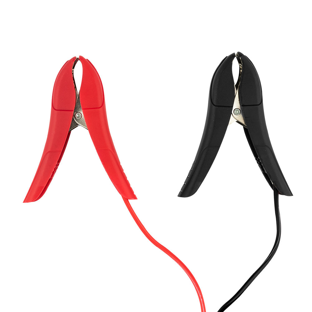 15 AMP Automatic Smart Lithium and AGM Battery Charger, Maintainer and Jump Booster