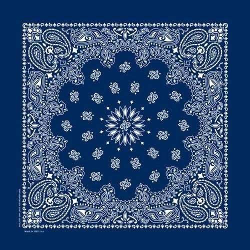 NT4402 Bandana Paisley Navy