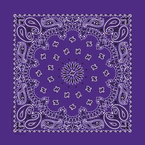 NT4406 Bandana Paisley Purple