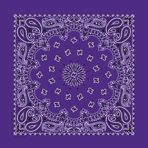 NT446 Bandana Paisley Purple