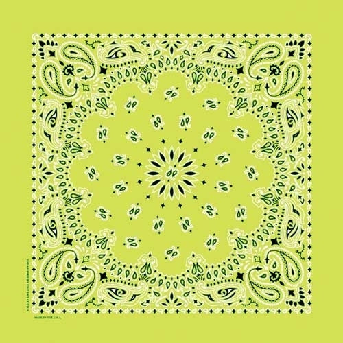 NT441 Bandana Paisley Lime