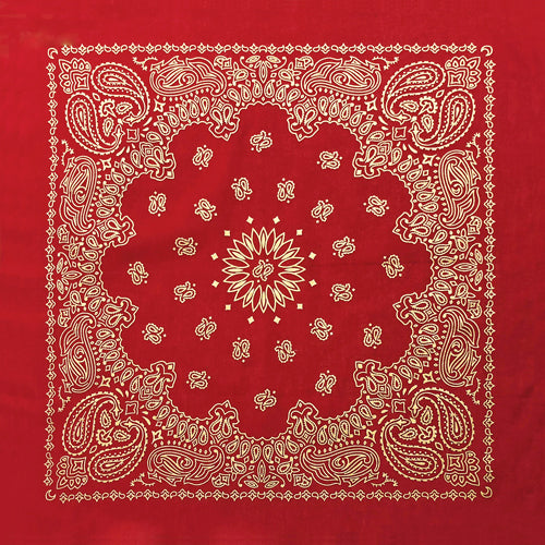 BD2519 Red Metalic Paisley