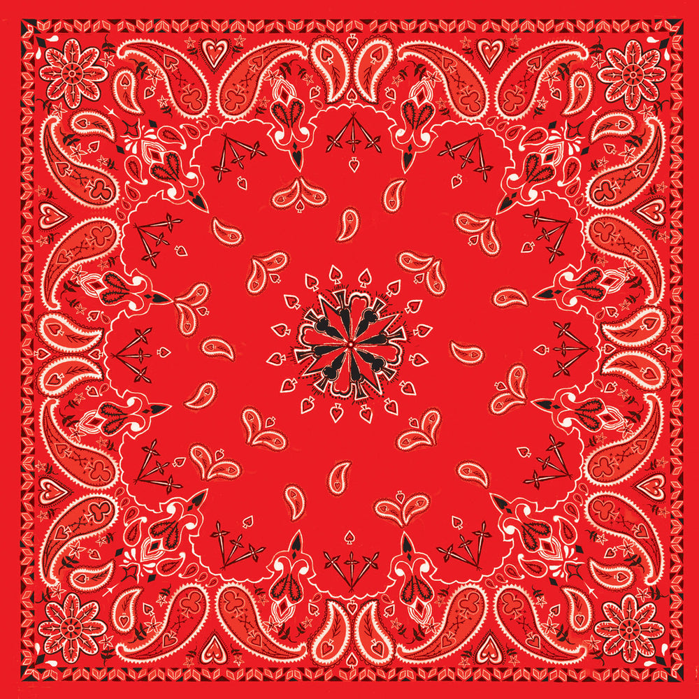 B3- Bandanna Red Paisley