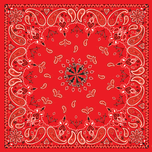 B3- Bandanna Red Paisley