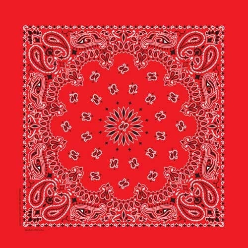 BD25 Bandana Paisley Red