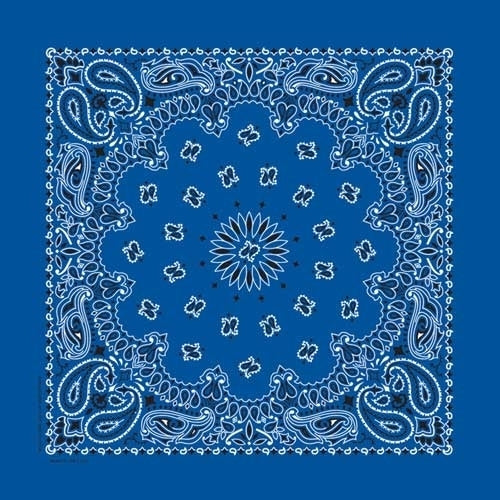BD251 Bandana Paisley Royal