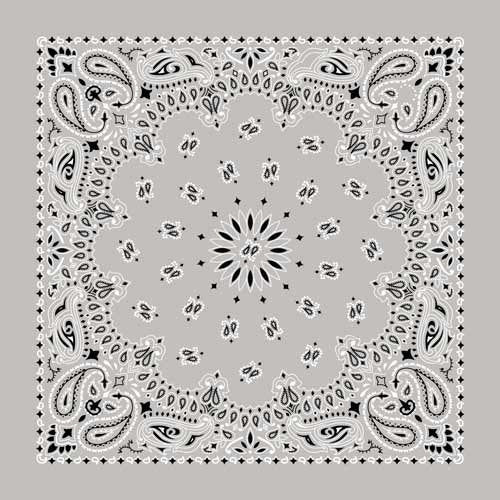 BD252 Bandana Paisley Silver